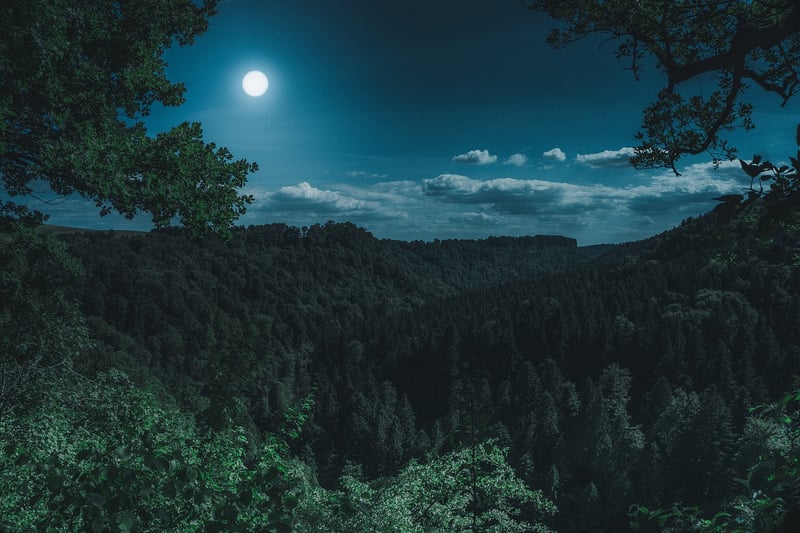 Moonlit Event